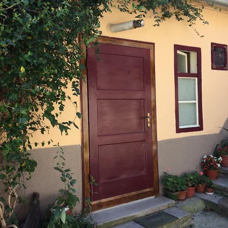 Iony Apartament Nagyszeben Kültér fotó